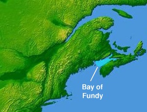 File:Wpdms nasa topo bay of fundy - en.jpg