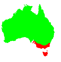 Distribution of L. lanigerum.gif