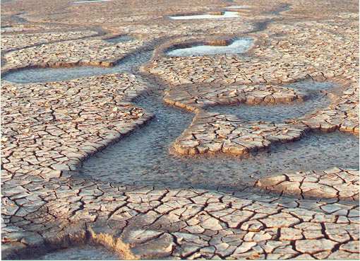 File:Dried mud creeks on the shores of the Wash - geograph.org.uk - 10669.jpg
