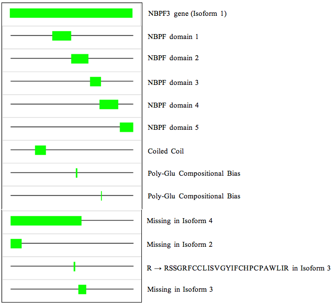 Isoforms and sequence.png