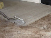 Carpet cleaning valrico fl.jpg