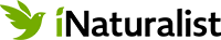 INaturalist logo.png