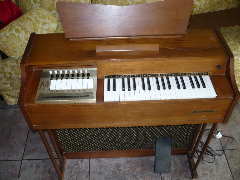 File:Magnus 890 electric chord organ.JPG