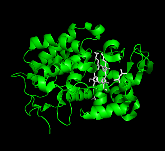 File:Ferrous cytochrome c peroxidase.png