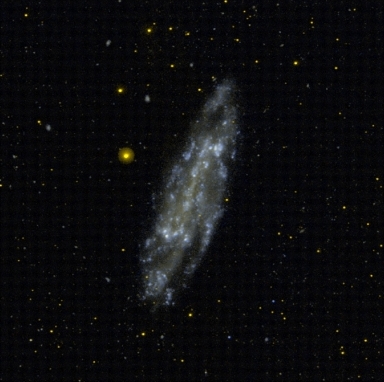 File:NGC 4236 I FUV g2006.jpg
