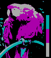 Screen color test CGA 4colors Mode4 Palette1 LowIntensity.png