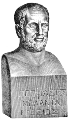 File:Theophrastus.jpg