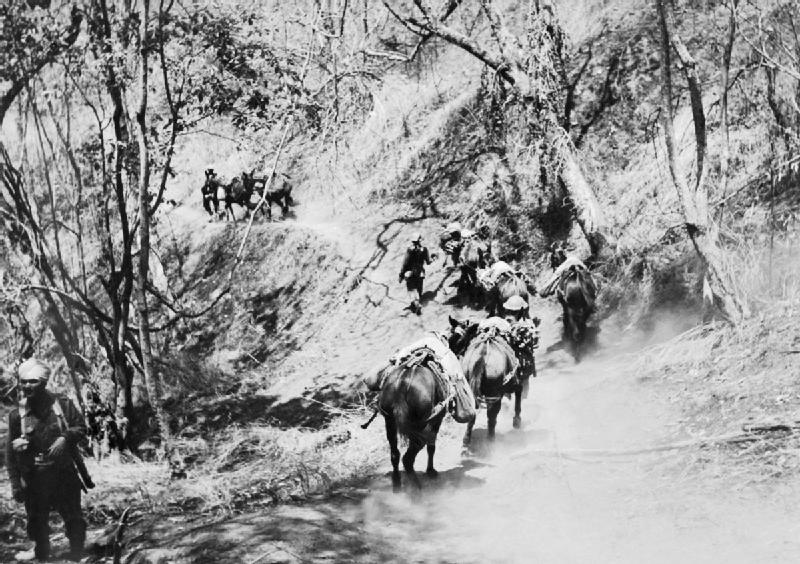 File:A mule column of the 2nd Punjabi Regiment carries supplies to the front line, Burma, 1944. IND3423.jpg