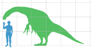 File:Nanshiungosaurus scale.png