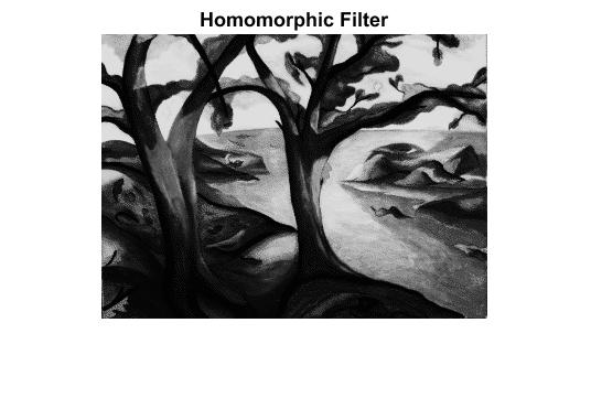 File:Image by Homomorphic Filter.jpg
