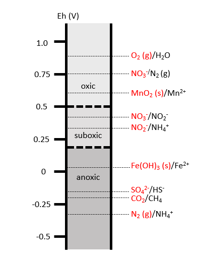 Biology:Redox gradient - HandWiki