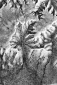Black-and-white aerial photo of series of hills and valleys resembling a person wearing a headdress