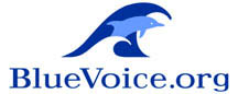 File:BlueVoice Logo.jpg