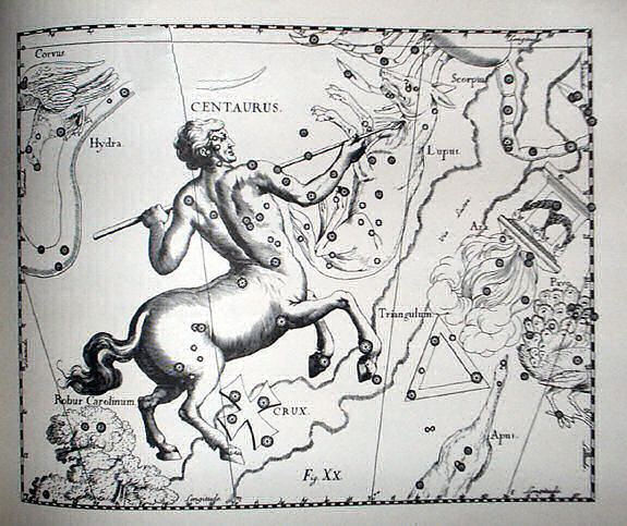 File:Johannes Hevelius - Prodromus Astronomia - Volume III "Firmamentum Sobiescianum, sive uranographia" - Tavola XX - Centaurus et Crux.jpg