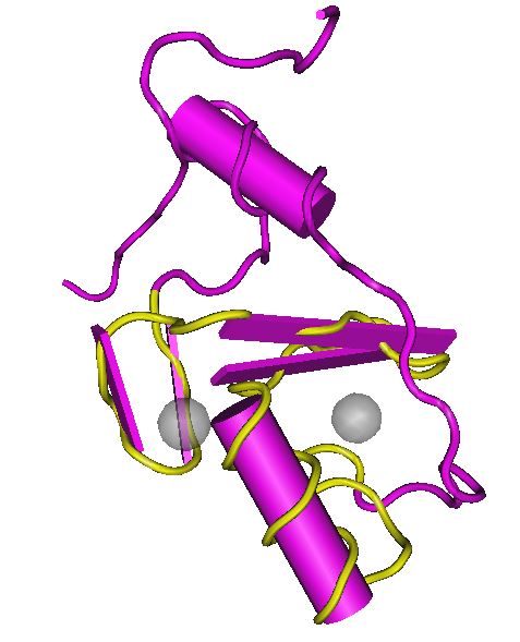 File:Solution Structure of the Ring Domain of the Zinc Finger Protein 183-like 1.JPG