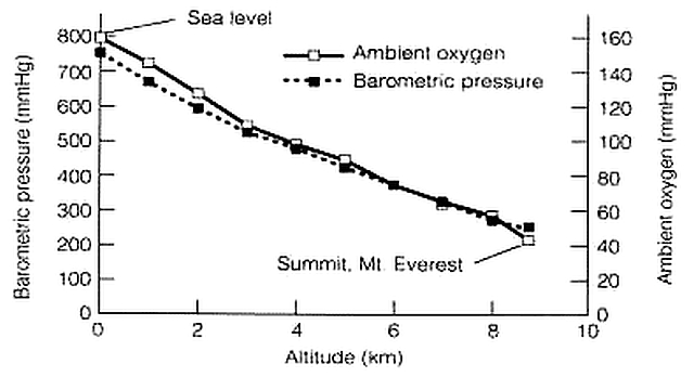 File:Everest Oxygen Graph.jpg