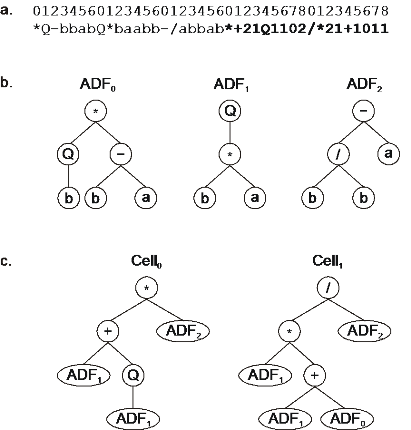 File:Expression of a multicellular GEP system with 3 ADFs and 2 main programs.png