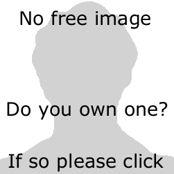 File:Male no free image yet.png