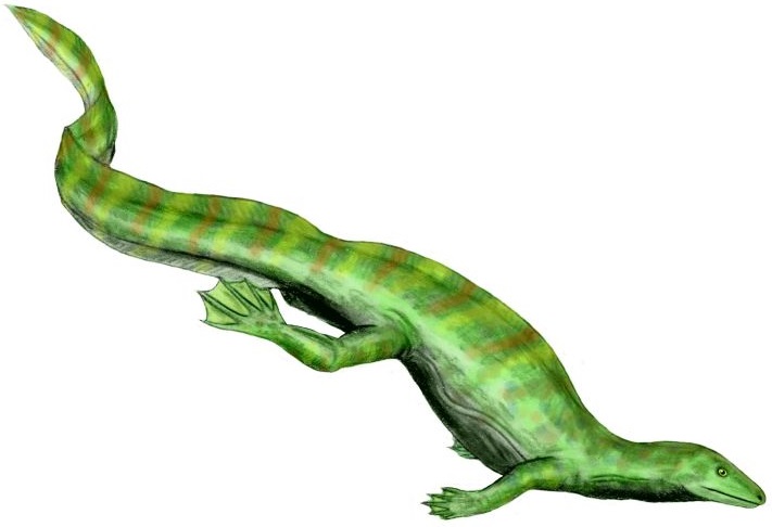 File:Hovasaurus BW flipped.jpg