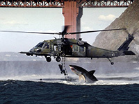 File:Helicopter Shark Thumb.jpg