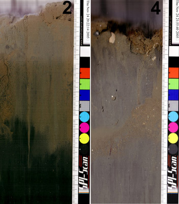 Here are two portions of sediment profiles taken 1 km from an aquaculture facility along the tidal current (left) and across (right). The right hand scale divisions are 1 mm apart.