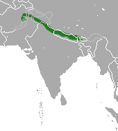 Nepal Gray Langur area.png
