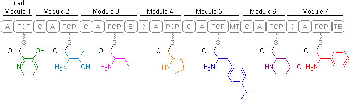 File:Streptogramin B (modules).png