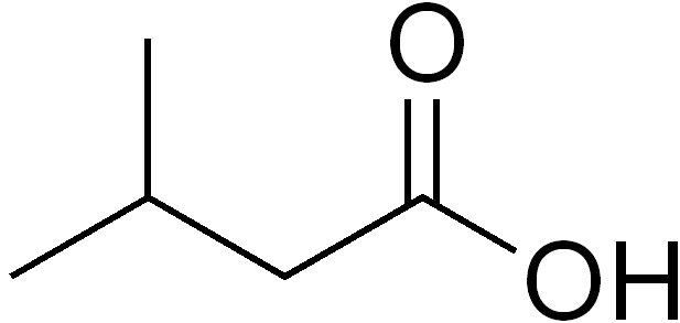 File:Isovaleric acid structure.png