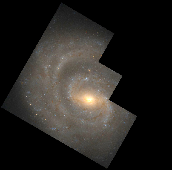 File:NGC 1637.jpg