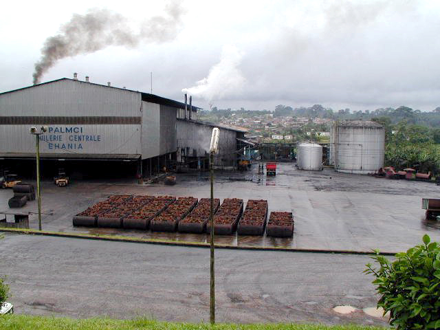 File:Palm oil factory cote d Ivoire.jpg