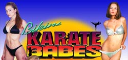 Bikini Karate Babes logo.jpg