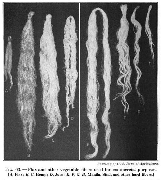 File:19th century knowledge weaving flax hemp jute manila sisal vegetable fibers.jpg