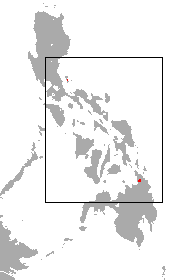 Large Mindanao Roundleaf Bat area.png
