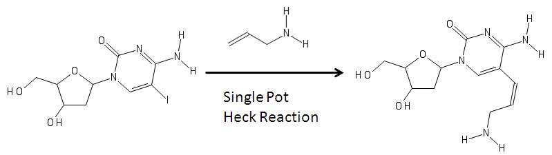 Heck coupling aminoallyl nucleotide reaction