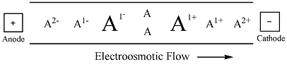 File:Electroosmoticflow.png