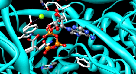File:Long Chain Fatty Acyl-CoA Synthetase.gif