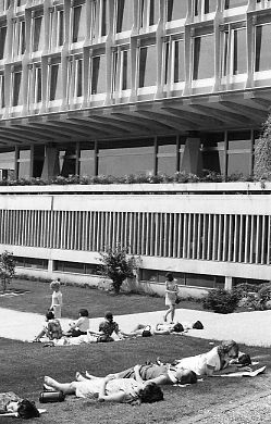 Women sunning selves at Geneva headquarters of World Health Organization, 1969.jpg