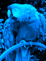 Color gradient map (blue) palette sample image.png