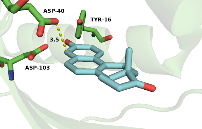 File:Ketosteroid Isomerase - Substrate Entrance.png
