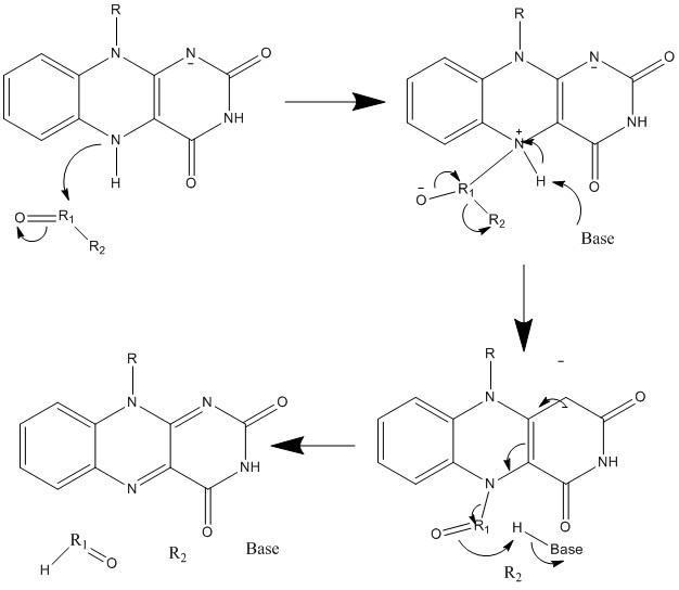 File:Nucleophilic Substitution using FAD.jpg