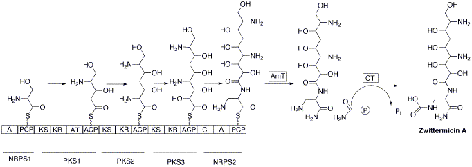 File:Zwittermicinsynthesis.gif
