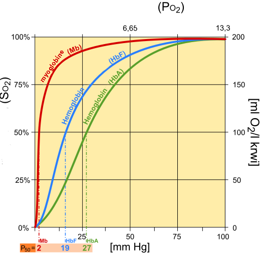 Fetal hemoglobin chart.jpg