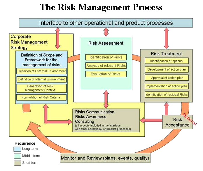 File:The Risk Management Process.png