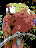 Commodore64 palette sample image.png