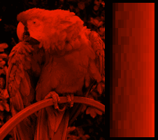 Screen color test VGA 256colors mono plasma.png