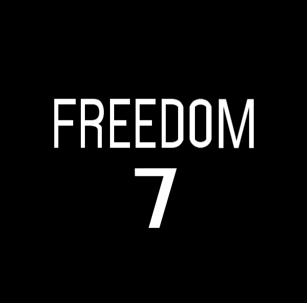 File:Freedom 7 insignia.png