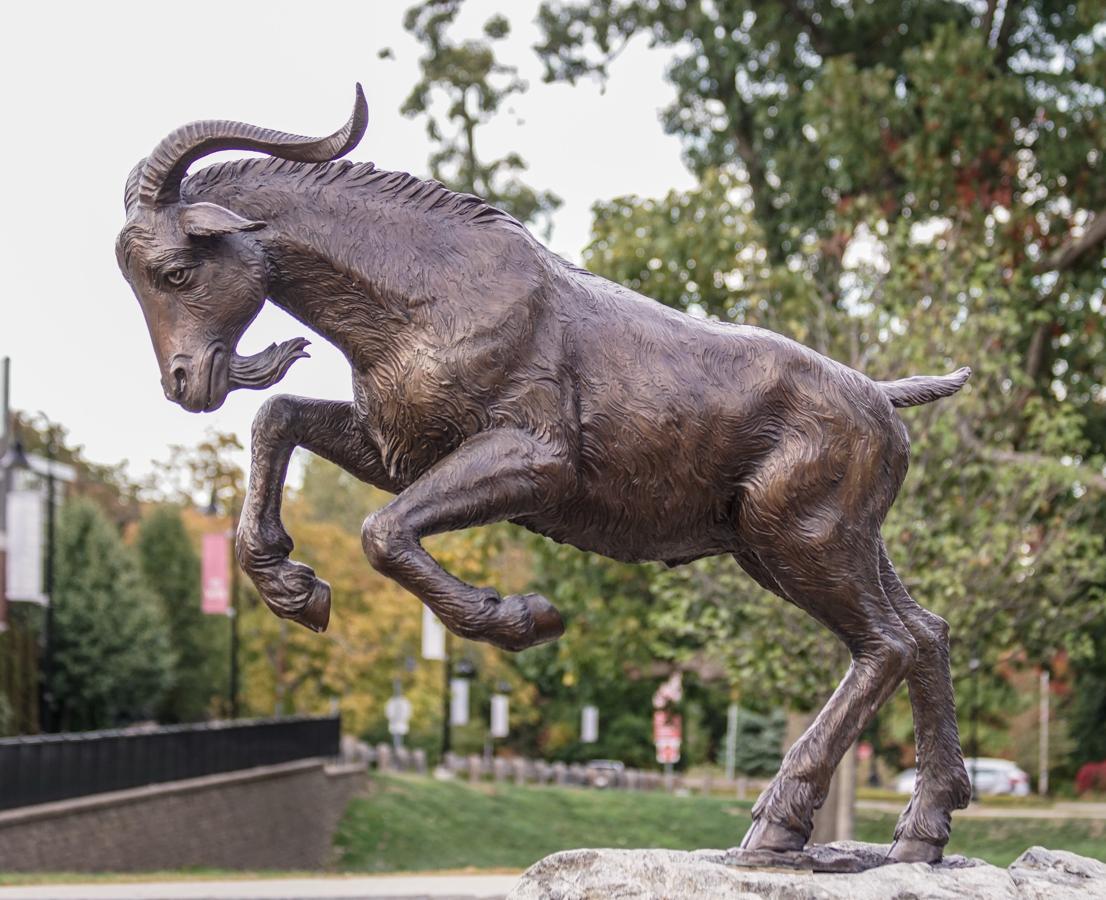 File:Gompei the Goat, Worcester Polytechnic Institute (WPI).jpg - HandWiki