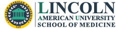 Lincoln American University Hex Official Logo.png