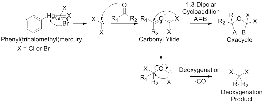 Scheme 5. α-Halocarbonyl ylide synthesis through dihalocarbene intermediates. Modified from Padwa, A.; Hornbuckle, S. F. Chem Rev 1991, 91, 263.