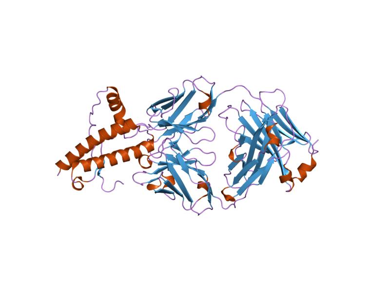 File:PDB 1tqb EBI.jpg